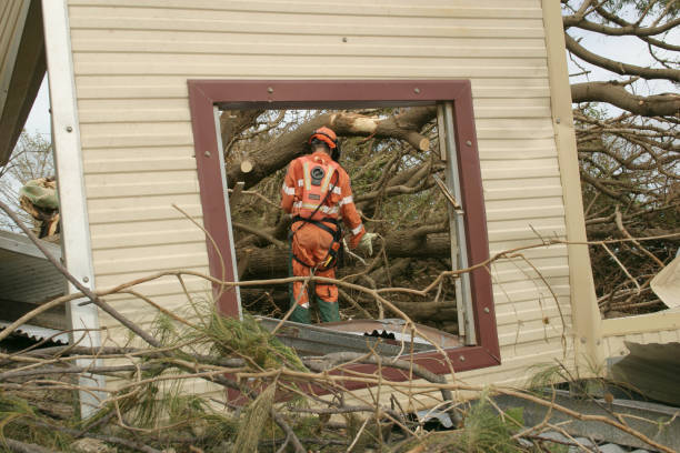 How Our Tree Care Process Works  in  Man, WV